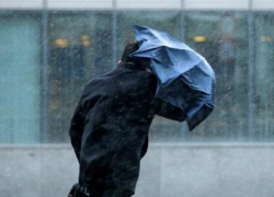 Желтый уровень опасности из-за погоды объявили в Воронежской области