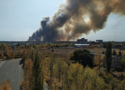 2023 год прошел без крупных лесных пожаров в Воронежской области