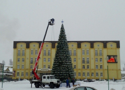 Стало известно, когда в Борисоглебске установят главную новогоднюю елку