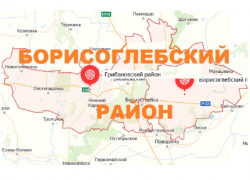 Грибановский район могут присоединить к Борисоглебску