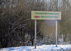 10 февраля в Воронежской области «Лесники откроют двери» для всех желающих