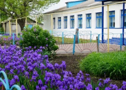 Вихляевка Поворинского района поборется за звание «Самое красивое село» Воронежской области