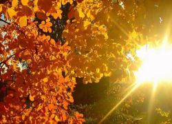 Еще одно «бабье лето» порадует теплом борисоглебцев в начале октября