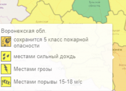 Оранжевый уровень опасности снова установился в Воронежской области из-за комплекса погодных условий