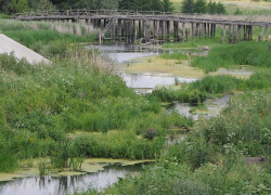 Пересохшую речку в селе Чигорак Борисоглебского района будут спасать за средства федерального бюджета
