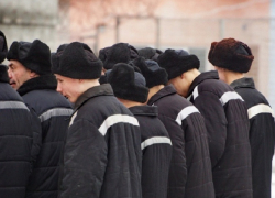 В Воронежской области за год количество осужденных снизилось на 6,3%