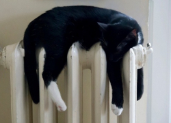 В Борисоглебске начался отопительный сезон