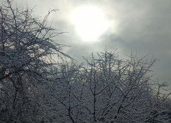 Суровый февраль пообещали жителям Воронежской области синоптики