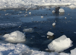 Тело пенсионера спасатели подняли из реки под Борисоглебском
