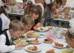 Питание в школах Воронежской области стало лучше: жалобы от родителей снизились в 7 раз 