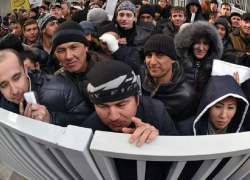 Предприятиям Воронежской области запретят использовать труд мигрантов