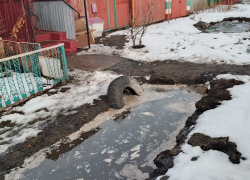 Нового мэра Борисоглебска попросили помочь с расчисткой «ливневок»