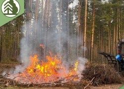 С 15 апреля в Воронежской области начнется особый пожароопасный период