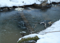 В МЧС напомнили об опасности весеннего льда на водоёмах