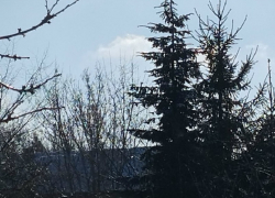 Комфортную погоду на праздничных выходных пообещали борисоглебцам синоптики