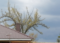 Ливни, грозы и град атакуют Воронежскую область на майских праздниках