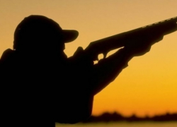 В Борисоглебском округе нельзя будет охотиться на пернатую дичь до 2020 года