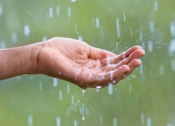 Борисоглебцев на текущей неделе ожидает долгожданное похолодание 