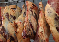 В Борисоглебске выявлено 16 тонн опасной говядины