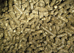 Сельхозпроизводителя из Борисоглебского района уличили в  нарушении законодательства в области карантина растений