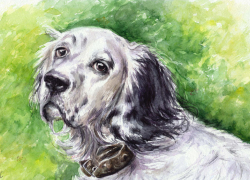 Автору " Белого Бима "  осенью откроют памятник в столице Воронежской области