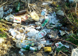 В Борисоглебске местные жители превратили территорию бывшего КВД в мусорную свалку