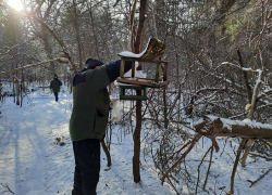 Столовая для лесных птиц в Юго-восточном микрорайоне Борисоглебска помогает выжить сотням пернатых 
