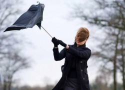 Спасатели предупредили о сильном ветре, надвигающемся на Воронежскую область