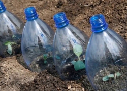 Борисоглебцам на заметку. Польза и вред пластиковых бутылок.