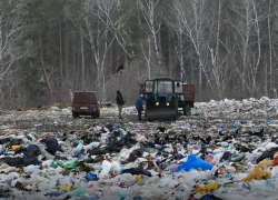 Борисоглебск – не единственный: глава Росприроднадзора высказалась о свалках в Воронежской области 