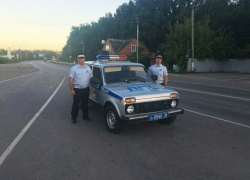 Попавших в беду питерских туристов выручили борисоглебские "гаишники"