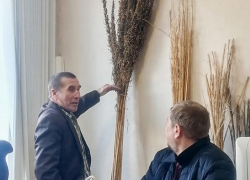 Аграрии Воронежской области решили перенять опыт переработки  конопли 