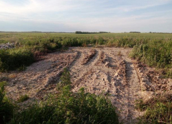 Народный репортер  Борисоглебска: нарушение природоохранного законодательства