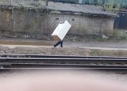 В Новохоперском районе женщина украла холодильник при помощи 9-летней дочери 