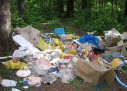 В Воронежской области стартовал месячник «Чистый лес»