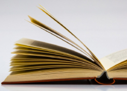 Слово «зумер» стало «Словом года» в уходящем году в России