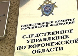 Родителей  Воронежской области предупредили об опасности 