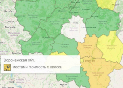 Оранжевый уровень опасности объявлен из-за погоды в Воронежской области