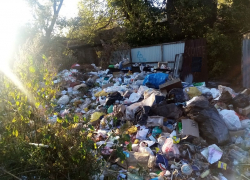 «Мошенники наживаются за счет граждан, а мусор и ныне там», – депутат Госдумы Алексей Журавлев