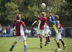В Воронежской области 2 млрд направлено на развитие спорта