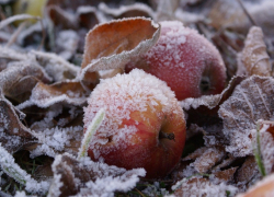 Штормовое предупреждение из-за мороза объявили в Воронежской области