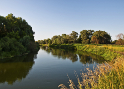 Красоты Прихоперья попадут в документальный фильм