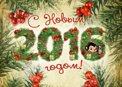 Глава Борисоглебского городского округа поздравил всех с наступающим Новым годом
