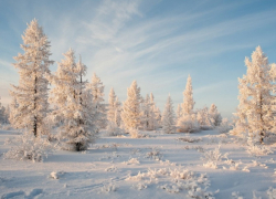 Стало известно, какая погода ожидается в декабре в Воронежской области