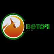 Борисоглебская телекомпания обзавелась друзьями в Европе