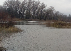 В Борисоглебском округе затопило мост