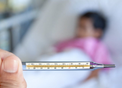 В Борисоглебске зарегистрирован случай заболевания ЭВИ