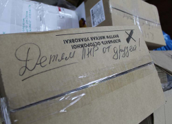 Детям ЛНР – от друзей: новогодние подарки из Воронежской области доставили в подшефный район Луганской Республики