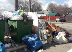 На проблемы с мусором в Поворино пожаловались местные жители