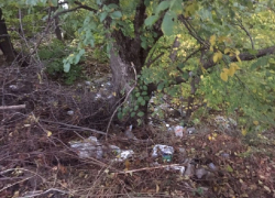 В поселке Теллермановский обсудили проблему стихийных свалок